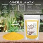 Candelilla Wax Pellets 3 lbs. Bulk Wholesale 100% Pure Natual Food Grade Vegan Wax For DYI Lip Balm, Soap and Candle Making, Creams and Lotions. Great For Skin, Face, and Hair. Beeswax Alternative