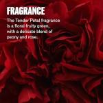 WELLA PROFESSIONALS ULTIMATE REPAIR Shampoo, Lightweight Cream Shampoo + Deep Nourishing Conditioner for Damaged Hair, Vegan Haircare, Formulated with Metal Purifier Technology, Liter Set