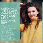 Candelilla Wax Pellets 3 lbs. Bulk Wholesale 100% Pure Natual Food Grade Vegan Wax For DYI Lip Balm, Soap and Candle Making, Creams and Lotions. Great For Skin, Face, and Hair. Beeswax Alternative