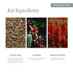 Soothe Sayer Bi-Phase Scalp Treatment – Flake Control & Redness Relief, 99% Natural, 67% Organic, Vegan, Clean Beauty – Nourishing Leave-In for Dry, Itchy, Irritated Scalps, 4 oz