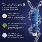 RANAVAT Glossing Hair Mask - Damaged Hair Repair & Conditioning Hair Mask with Hyaluronic Acid + Moringa Seed Oil to Mend Breakage & Split Ends - Vegan & Cruelty-Free Hair Care (5 oz)