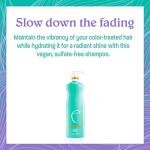 Malibu C Hydrate Color Wellness Duo - Hydrating Shampoo and Conditioner Set for Color-Treated Hair - Extends Color Vibrancy and Longevity - Vegan & Sulfate-Free Hair Care