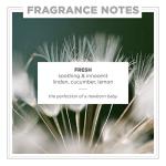 Zents Eau de Parfum (Fresh) for Women & Men | Long-Lasting Clean Fragrance with Linden Blossom, Cucumber & Lemon | Crisp & Refreshing Scent | 1.69 oz