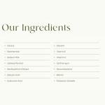 Planteá Nourishing Serum – Hydrating Face Serum with Cactus Extract, Fragrance-Free, Vegan, Lightweight Skincare for Dry, Sensitive or Dehydrated Skin (30 mL)