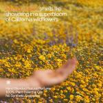 Organic Mind + Body Wash - Meadow Vision Scent