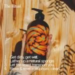 Organic Mind + Body Wash - Meadow Vision Scent