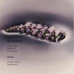 Aesop Eleos Nourishing Body Cleanser - 3 Pack