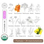 Organic Plant Retinol Serum with 39 Botanicals