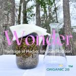 Organic Plant Retinol Serum with 39 Botanicals