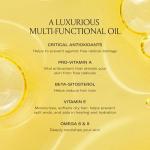 Le Prunier Plum Beauty Oil - Vegan Moisturizing Oil