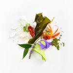 Tata Harper Superkind Vegan Eye Cream for Sensitive Skin