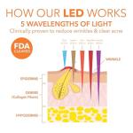 Dr. Dennis Gross Collagen Boosting LED Mask Kit