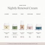 Furtuna Skin Nightly Renewal Cream - Vegan Moisturizer