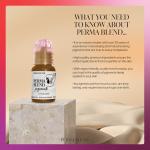 Sun-Kissed Eyebrow Tattoo Ink Pigment Set