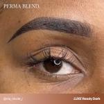 Perma Blend Luxe Microblading Ink Modifier Set