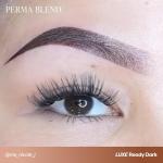 Perma Blend Luxe Microblading Ink Modifier Set