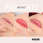 Biotek Lollipop Lip Pigment for Permanent Makeup