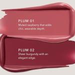 Plum-02 Sheer-to-Bold Vegan Lipstick