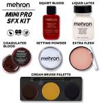 Mehron Special FX Mini Makeup Kit for SFX Fun