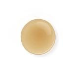 Prija Fortifying Vegan Shampoo for Radiant Hair