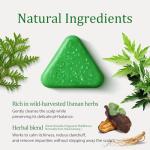 Freeorr Triangle Shampoo Bar for Itchy Scalps