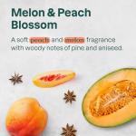 ATTITUDE Colorlast Vegan Conditioner for Color-Treated Hair