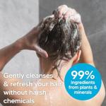 Nature Clean All-Natural Sulfate Free Shampoo for Men & Women. Non-Toxic & Fragrance-free Organic No Paraben Unscented Hypoallergenic & Vegan (10 Fl Oz (Pack of 6)