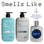 Hawthorne All Day Men's Shampoo and Conditioner Set. Sulfate Free Shampoo and Conditioner with Pure Avocado Oil and Aloe For Stronger, Healthier Hair. Night Swim Cologne Scent. 16 fl. oz. each.