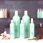 Redavid Cedarwood Weightless Shampoo - with Hemp Seed Oil and Orchid Oil, for Fine Hair and Men's Hair - Clinically Strengthens, Cleanses Hair and Scalp - Paraben, Phthalate and Sulfate Free (1L)