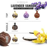 Scentual Fragrances, Ultra-Concentrated Hair & Body Perfume Mist, Long Lasting Women's Fragrance, Gourmand Perfumes for Women, Vegan and Cruelty Free (Lavender Vanilla)
