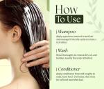 SOULSPA PURE Biotin Shampoo and Conditioner Set for Men & Women | 16 fl oz Each | with Rosemary & Mint | Sulfate Free Hydrating & Strengthening Hair Care for Thinning, Color-Treated & Dry Hair