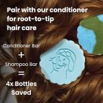 Otter co. Anti Dandruff Tea Tree Conditioner Bar – Zinc Pyrithione, Apple Cider Vinegar, Hydrating & Moisturizing Bar Conditioner – Vegan, Natural, Sulfate Free – All Hair Types & Dry Scalp, USA Made