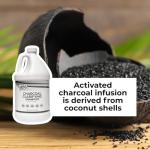 Charcoal Clarifying Shampoo, Gallon (Duo Pack) - Deep Cleansing, Purifying & Gentle Formula for Scalp & Hair Care. Color Safe, Gluten-Free, Daily Purifying Shampoo for Healthy Hair