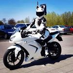 Cat Ears Full Face Motorcycle Helmet for Adults