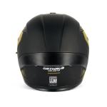 DOT Modular Motorcycle Helmet Full Face Dual Visor Flip Up Motor Street Helmet