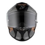 Daytona Viper Helmet with Copperhead Design