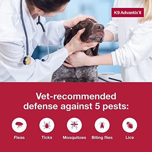 XL K9 Advantix II: Flea & Tick Prevention