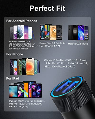 Dual Port Fast Car Charger for iPhone & Samsung