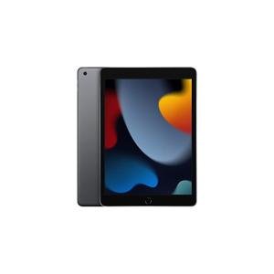 Apple iPad 9th Gen WiFi Only - 256GB - 10.2" - Excellent
