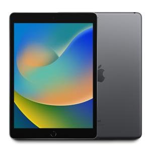 2021 Apple iPad 9th Gen 10.2" 64GB & WiFi Only - (Space Gray) A2602 w/Warranty