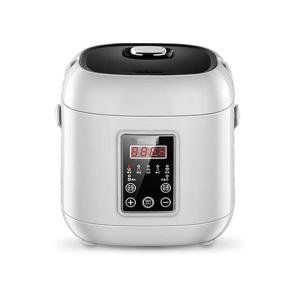 12V/24V Rice Cooker for Car, Portable Mini Rice Cooker, 2L