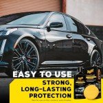 Meguiar's Gold Class Carnauba Liquid Wax 16oz