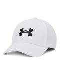 Under Armour Men's Blitzing Hat