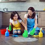 Reusable Microfiber Dusting Mitts for Home Cleaning