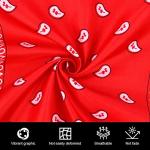 12 Pack Paisley Print Bandana Head Scarves