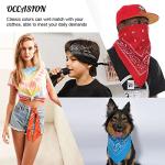 12 Pack Paisley Print Bandana Head Scarves