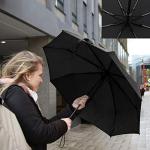 Vicloon Compact Windproof Folding Umbrella for All