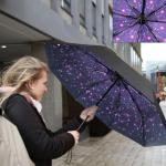 Aolso Compact Windproof Travel Umbrella for Everyone