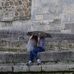 Compact Black Mini Umbrella with Gold Handle