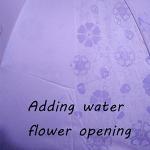 Compact UPF 50 Sun Umbrella for Women - Clove Purple